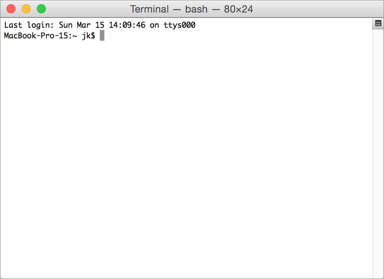 **Figure 1:** The Terminal window harks back to pre-graphical days.