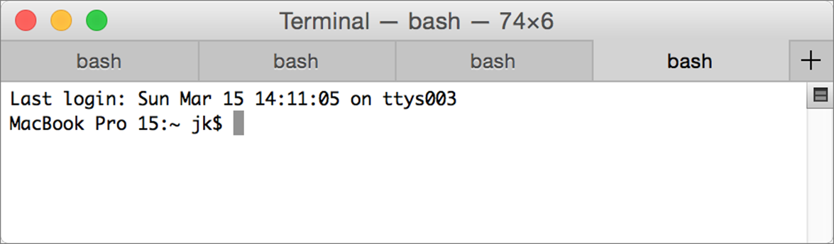**Figure 2:** Terminal windows can have multiple tabs, which can be moved and closed individually just like those in most Web browsers.