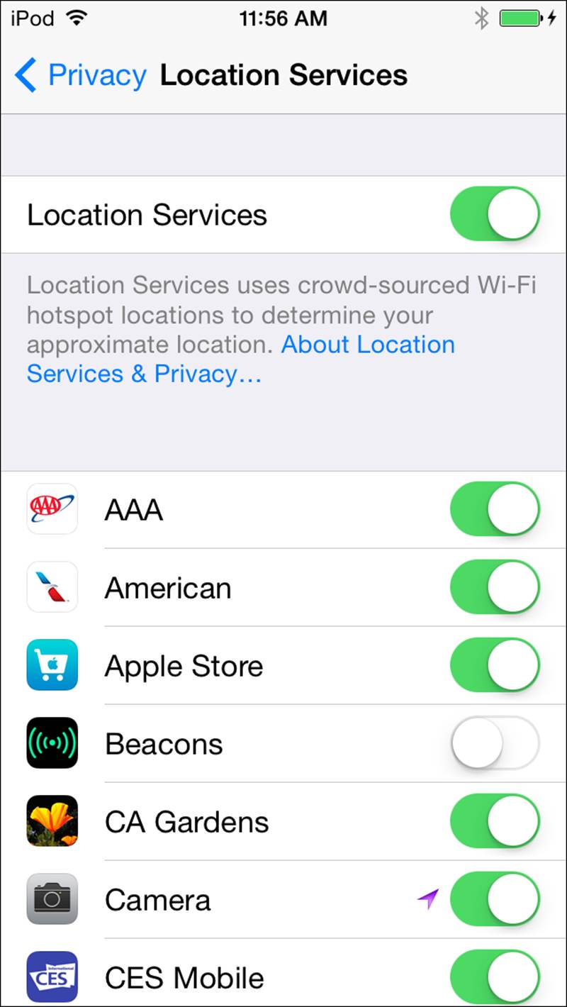 Location Services Control Panel