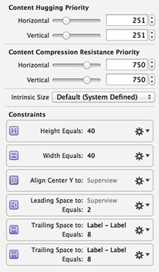 Image view constraints