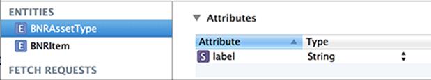 Create the BNRAssetType entity