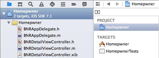 Selecting Project Info