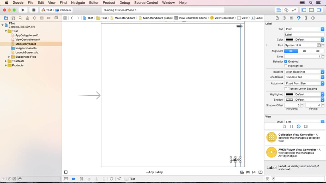 Storyboard with Label positioned via Auto Layout