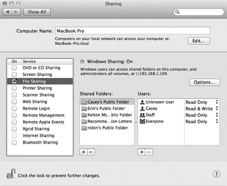 Here&rsquo;s the master switch that makes your Public folder (and any other folders you designate) available to other people on the network. You can edit the Computer Name, if you like. Your Mac will appear on the network with this name. Make it nice and descriptive, such as Front Desk iMac.
