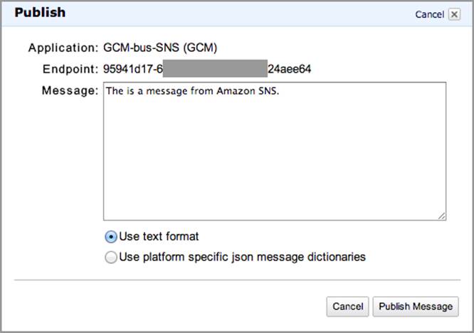 Publishing a message with SNS