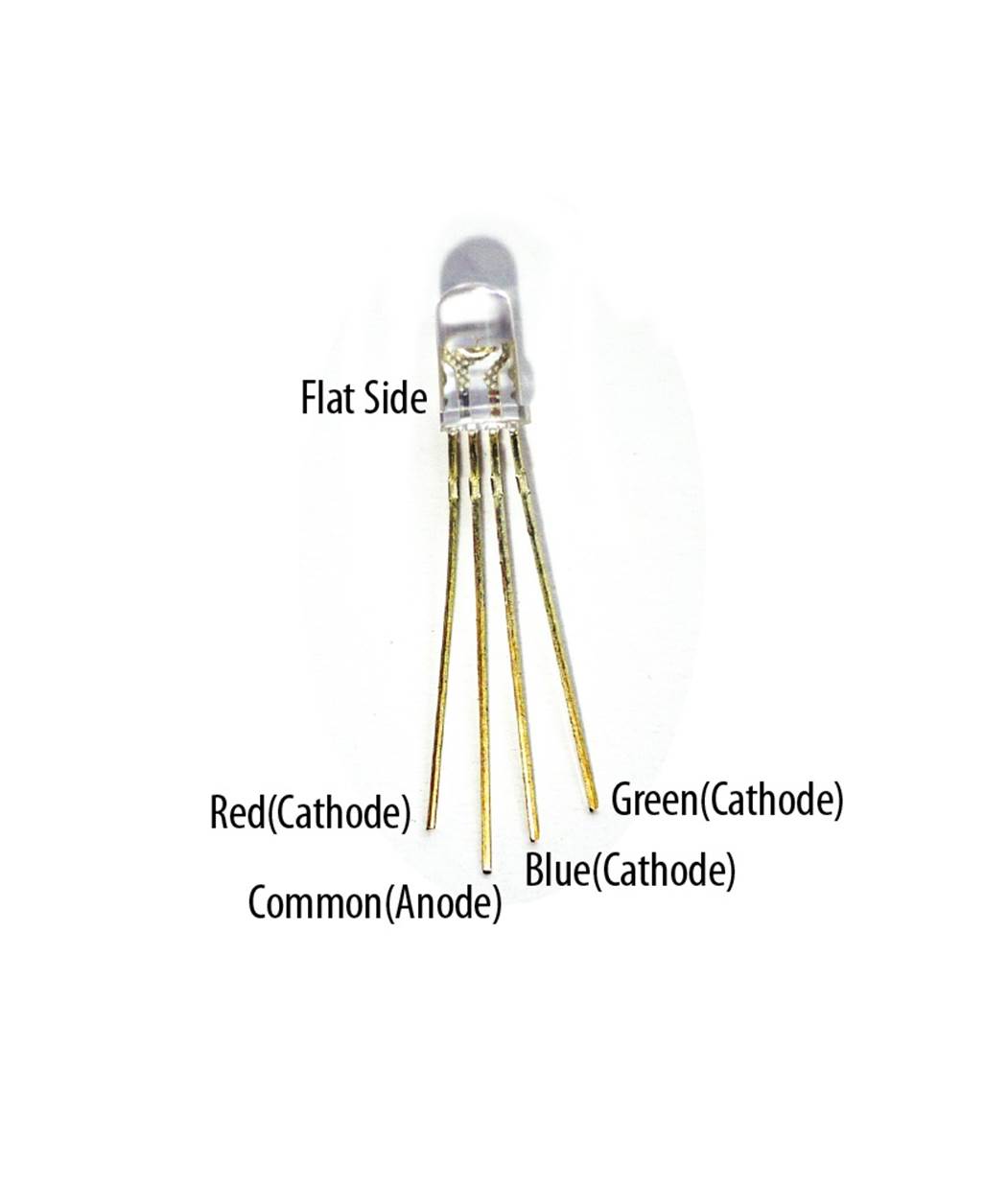 A typical RGB LED with pinout names