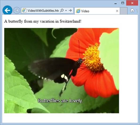 The subtitles in this video appear in their usual place: centered, and near the bottom of the video window.