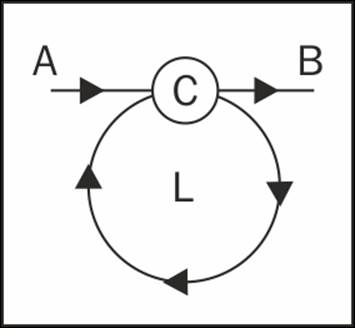 Loops