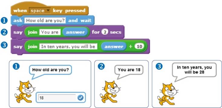 A script that accepts the user&rsquo;s age as input