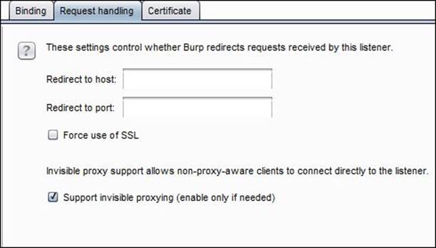 Burp Suite