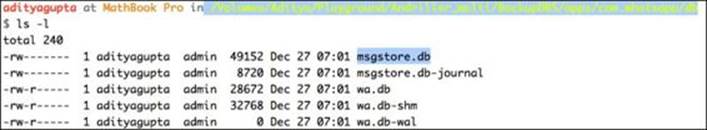 Using backup to extract an application's data