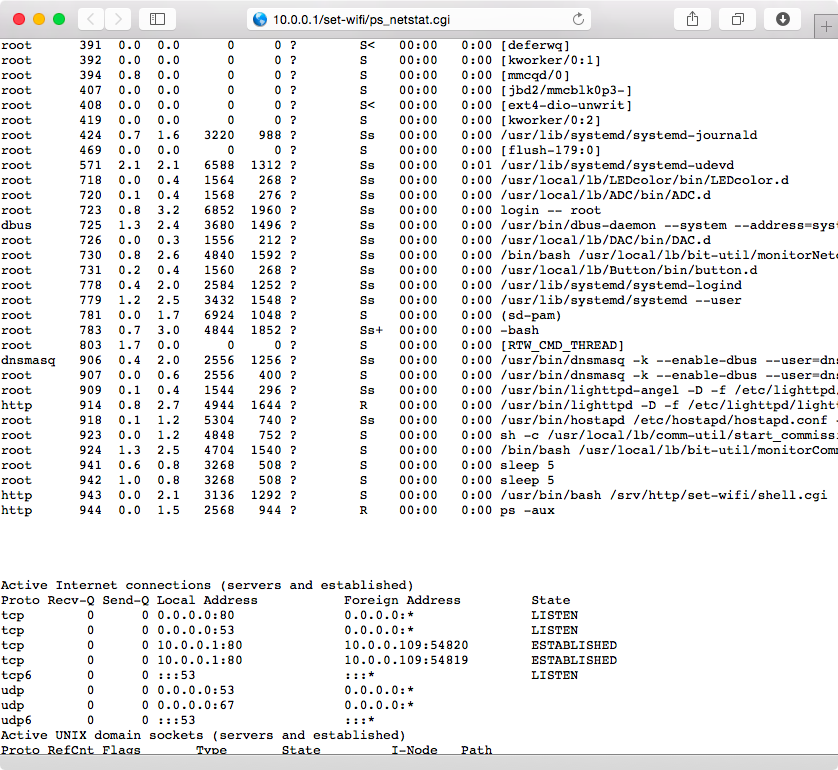 Successful execution of the ps and netstat commands