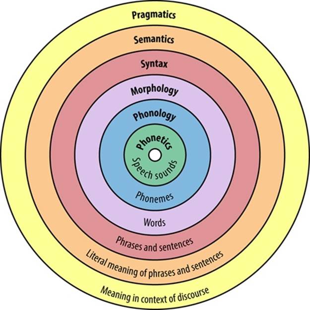 Major levels of linguistic structure, from raw spoken sounds to the complexities of meanings influenced by contextWikimedia Commons:
