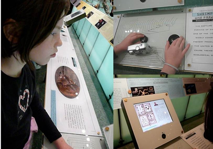My daughter, Madeline, learning about natural history through cross-media interaction, on our trip in 2007